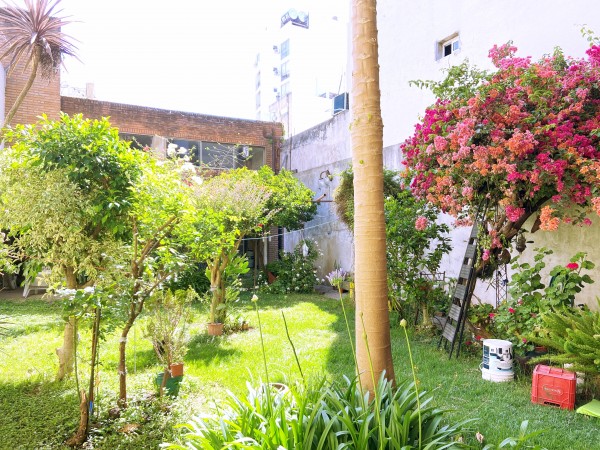 Casa 6 amb c/fondo