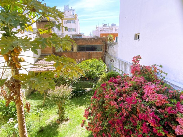 Casa 6 amb c/fondo